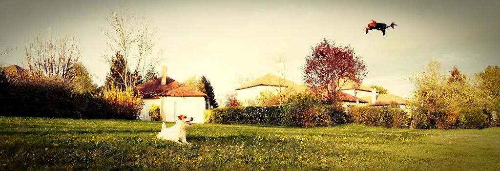 Chasse au drone